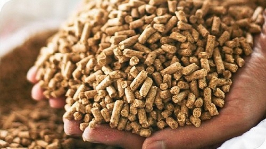 Animal feed exports soar during 11-month period